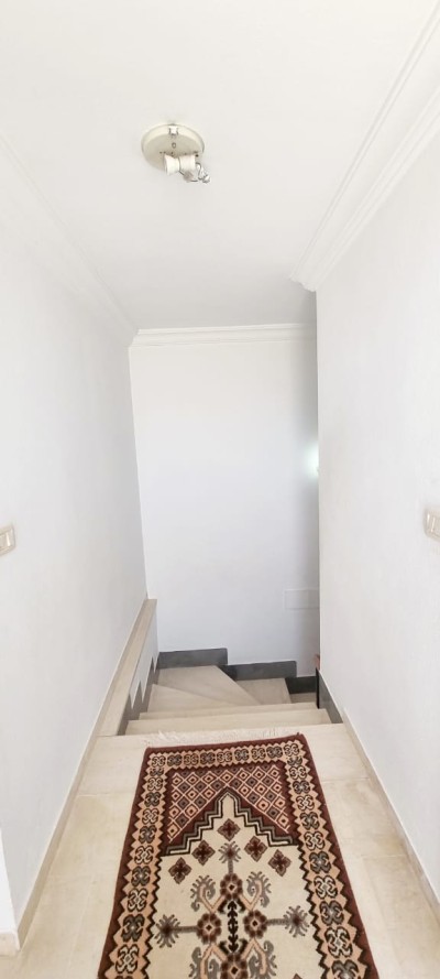 V3044 Duplex Altess-4