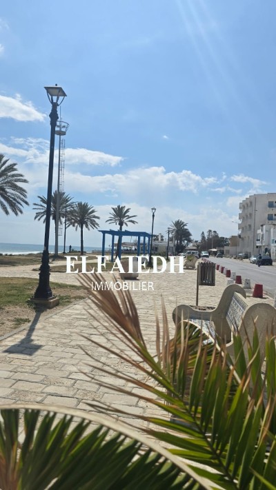 Terrain la rambla T120