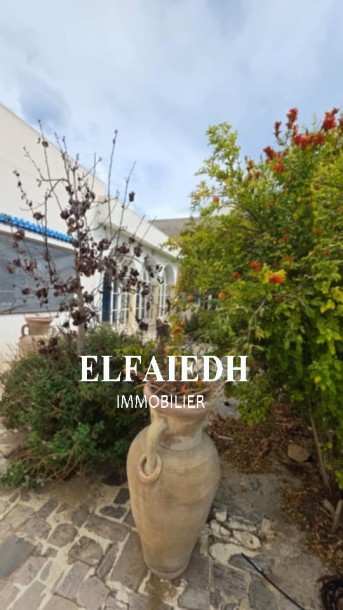 Maison jamila V984-0