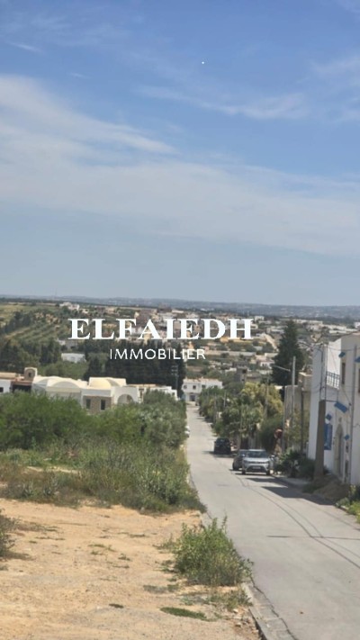 Terrain Nacim T254-1