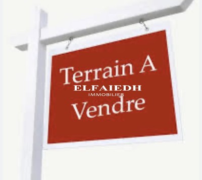 Terrain carrefour V3455