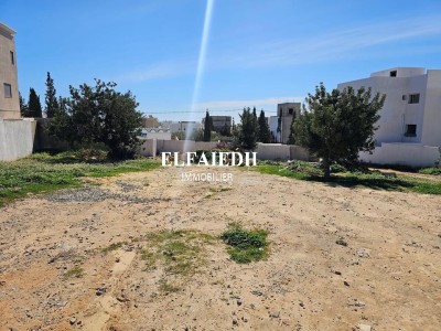 Terrain la Playa  T1086