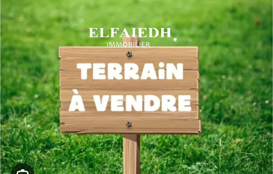 Terrain sycile T888-0