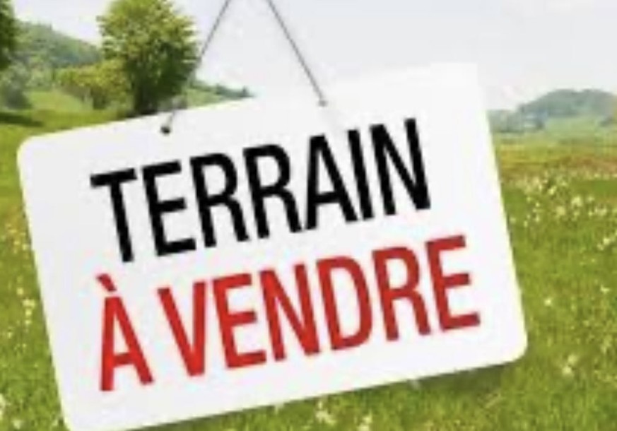 Terrain  A5006-0