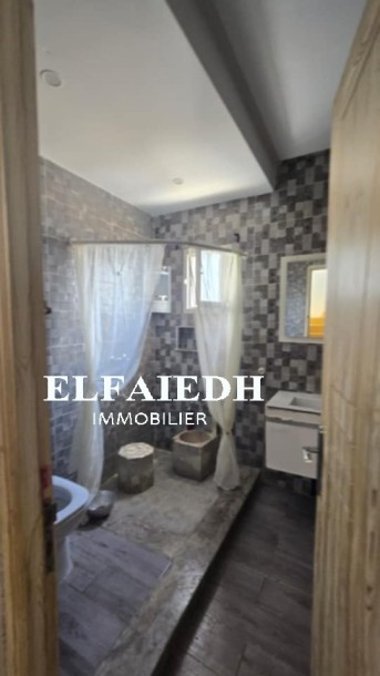 Dulex printemps V249-6